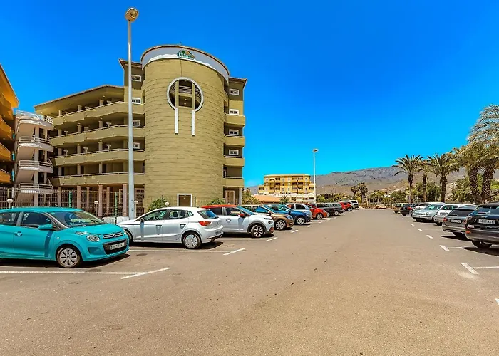 Orlando Wave أذيخي