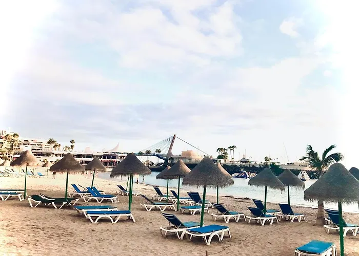 Orlando Wave * 阿德耶