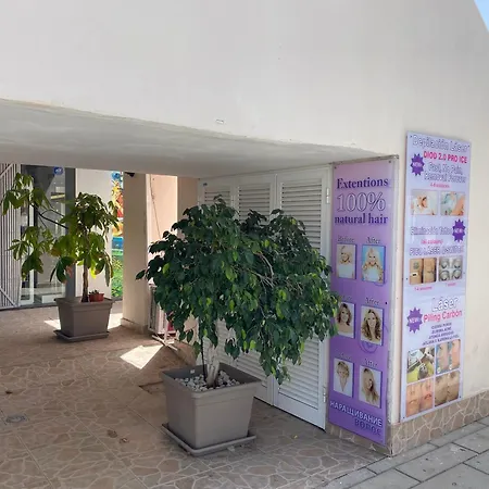 Orlando Wave أذيخي